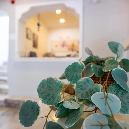 Tunan Hotel Ayvalı